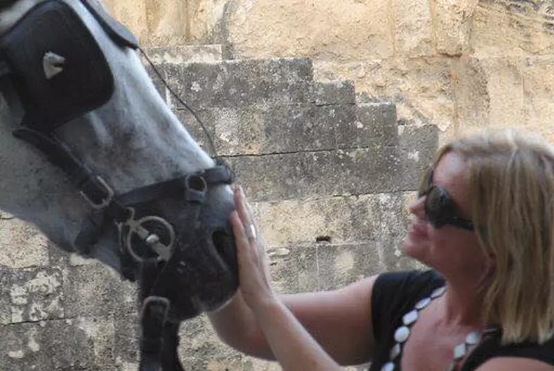 82337304_2790916030964839_1863520205892747264_n-1-1