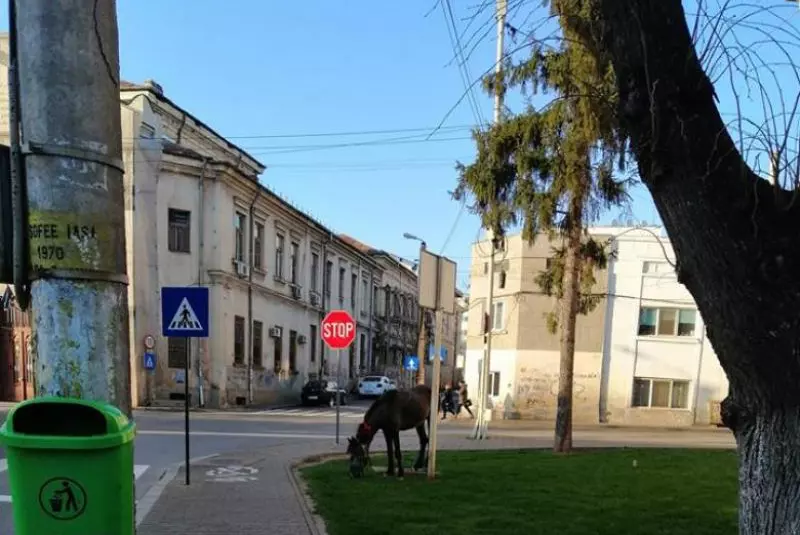 NDAmaGFzaD05ODUwZjE5NGZiY2MzZWY1MDY3NmY3MWFkMGY3NzNlNA.thumb_