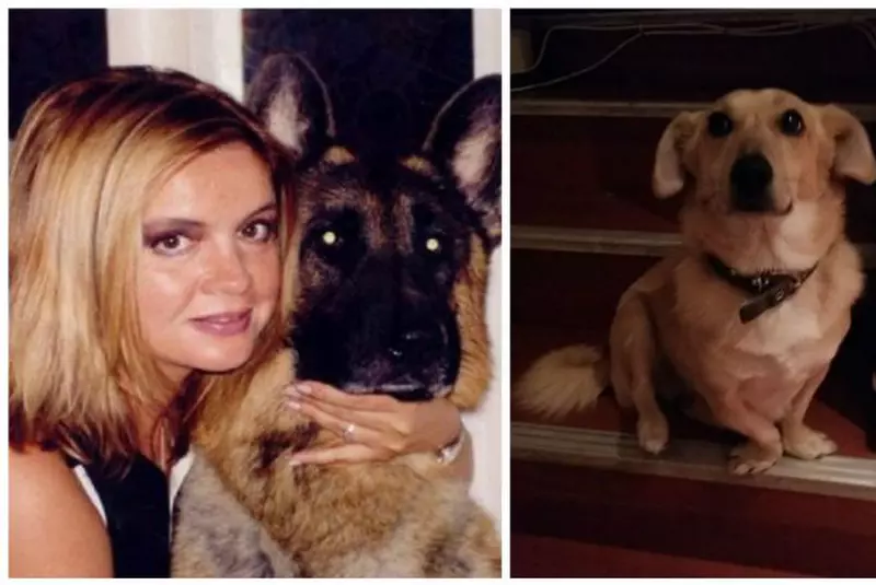 cainii-cristinei-topescujpg