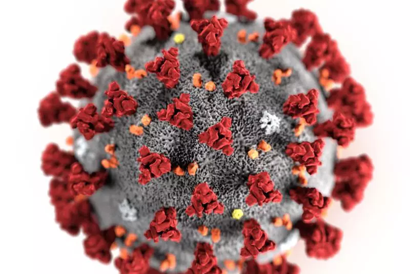 coronavirus