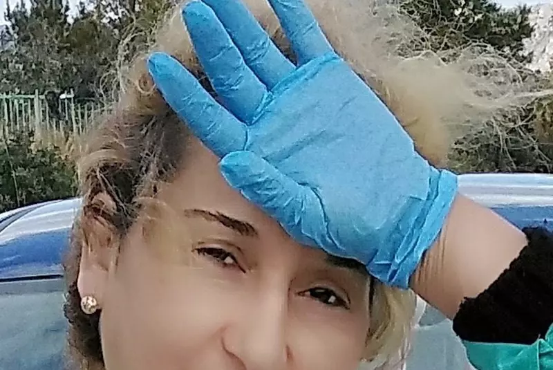 Liliana-Stefanescu-1