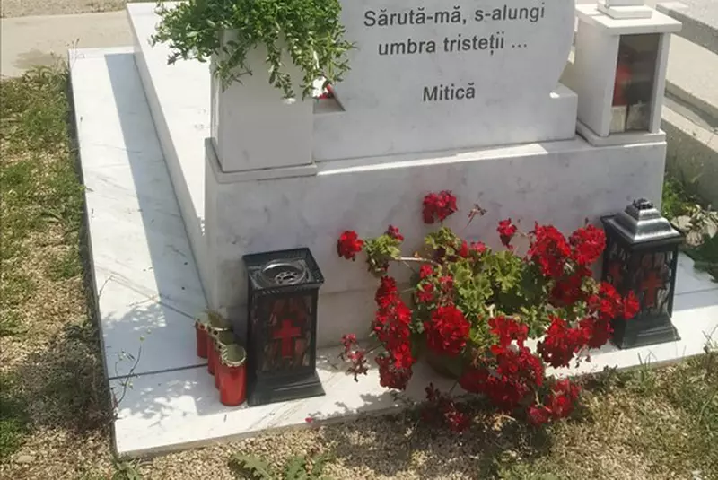 aD1iNzZjY2U0NDg5YzYwNTNmMDRmZDQ1YWZkMzUwMTY0Mg.thumb_