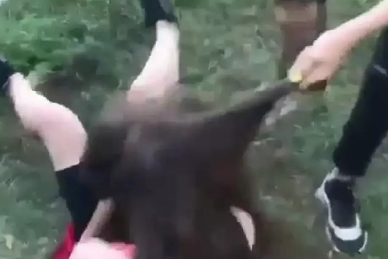 aD1kNTgxMDZhZTJjYTViMjg5YzA0MmU5NzdjMzFlYWY3Mw.thumb_-1