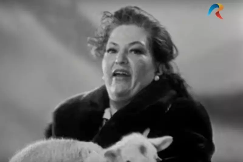 Draga-Olteanu-Matei-1-6