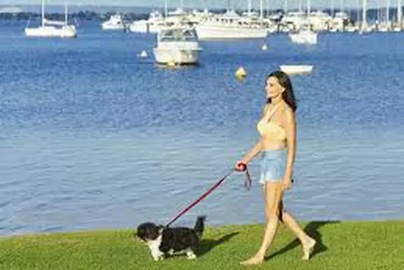 carolyn-hartz-world-s-hottest-grandmother-carolyn-hartz-photo-shoot-sydney-australia-07-june-2017-x8-hqcelebcorner_1-1