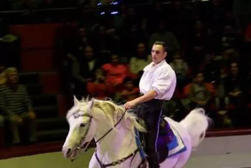 12378128_1016511458372292_5610662769799926622_o