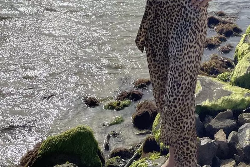 prodanca-deschidere-1