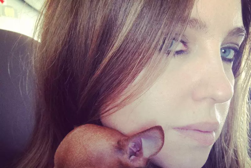 388586_230895710315964_2028749283_n