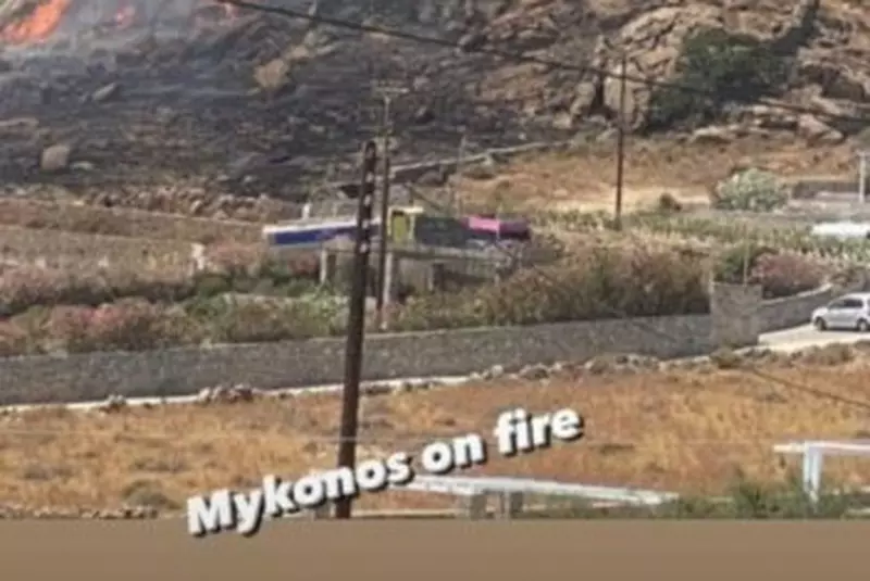 1-udreffa_iubit_copy