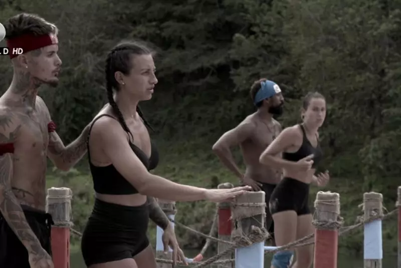 mesajul-dintre-ana-porgras-si-zanni-10