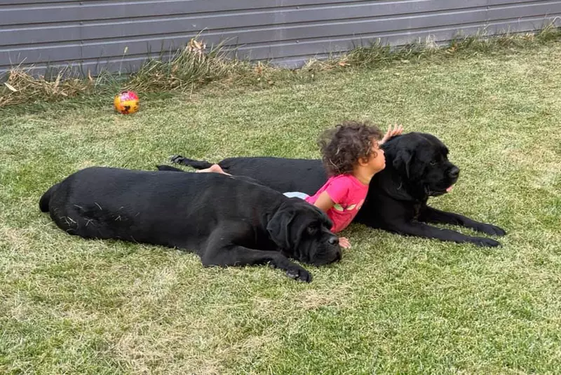 121663459_3494848907240580_6131692469089606811_n