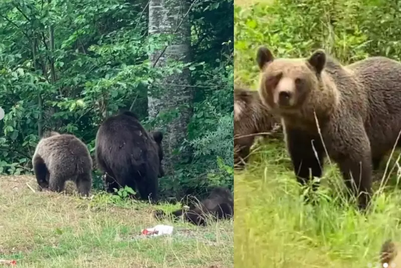 240526383_123941806639066_9024395599044628132_n_78768100