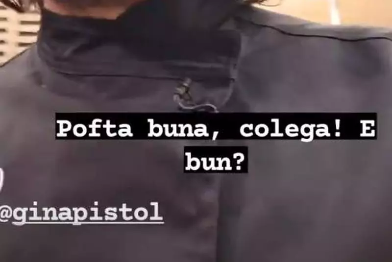 Gina-Pistol-revine-la-chefi-la-cutite-3