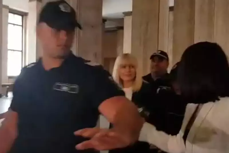 elena-udrea-proces-1