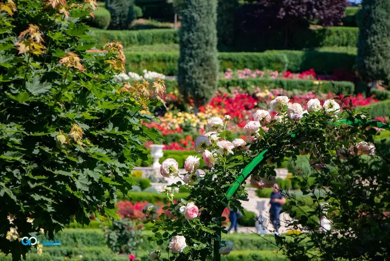 eea375cd-22e2-4d1e-8ac7-61d8e8193d08