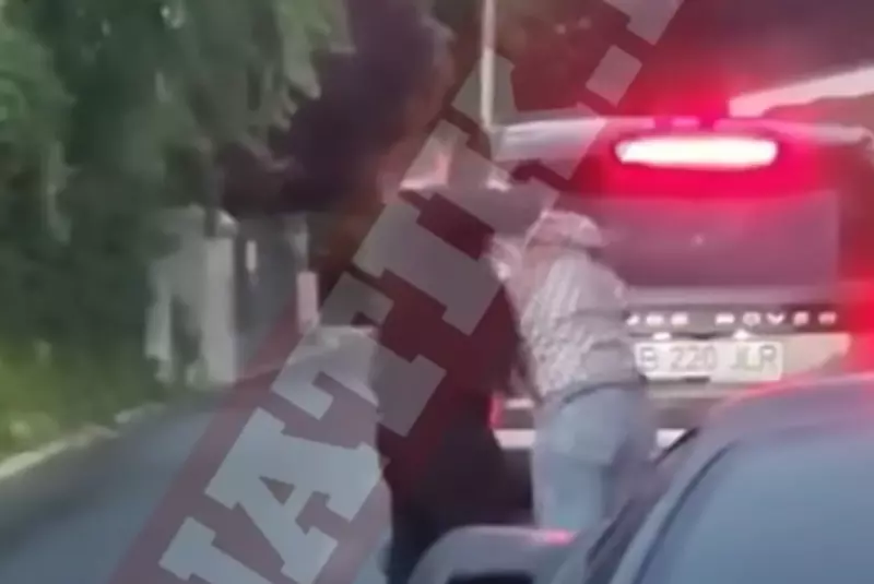 308424203_3940816656144117_6391290494210224507_n