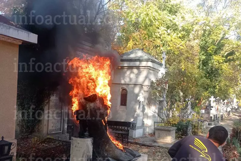 mormantul-florinei-cercel-a-ars-