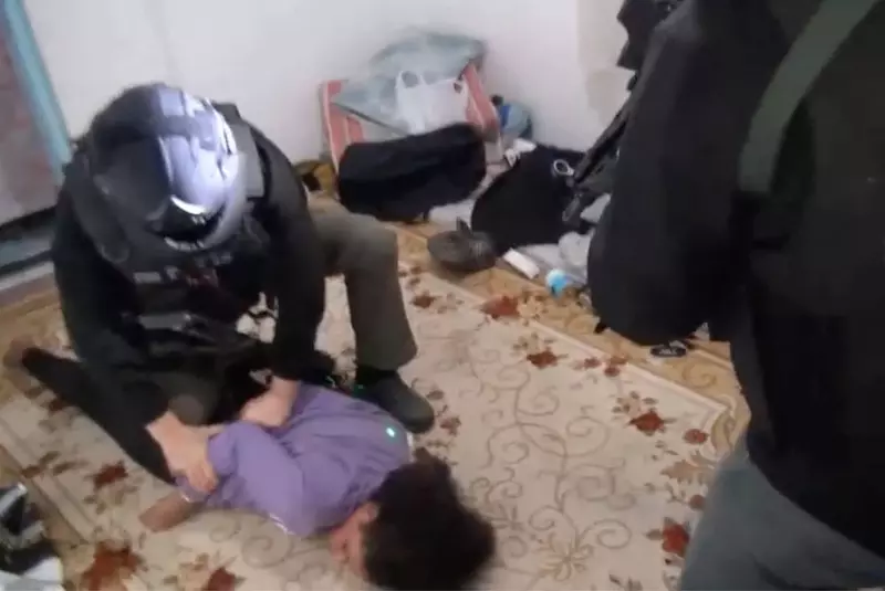 Person behind Istanbul deadly terror attack arrested