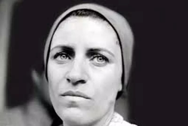 stere-gulea-scaled-1