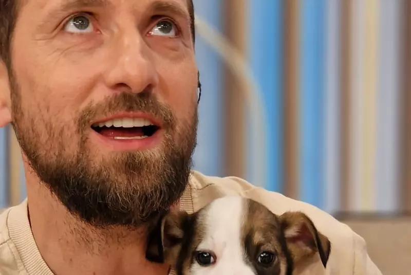 dani-otil-1-1024×764-1