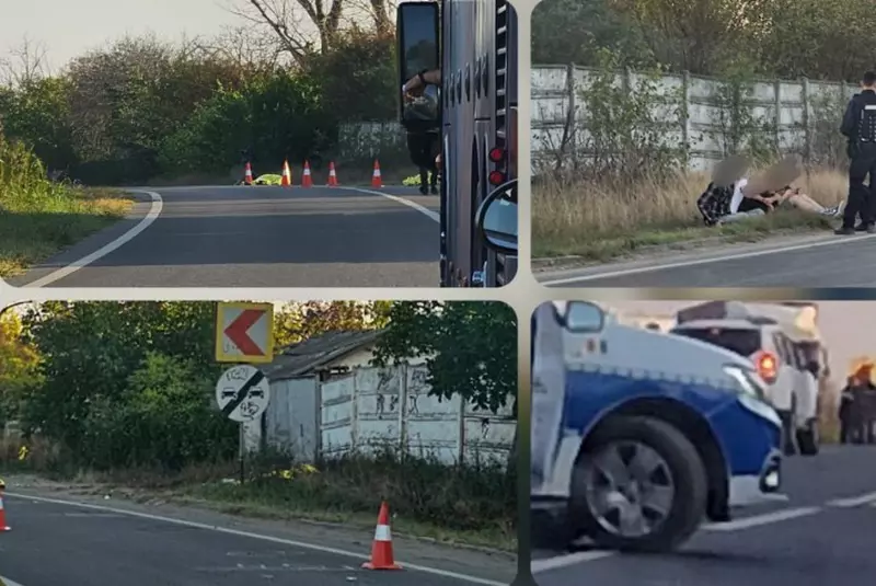 73a41dcd4dbdf4d82111a743f6163b98