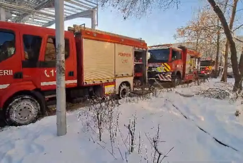 rasturnare-situatie-bebelus-murit-aruncat-pe-geam-mama-sa-apartament-flacari-iasi-vecini-880055