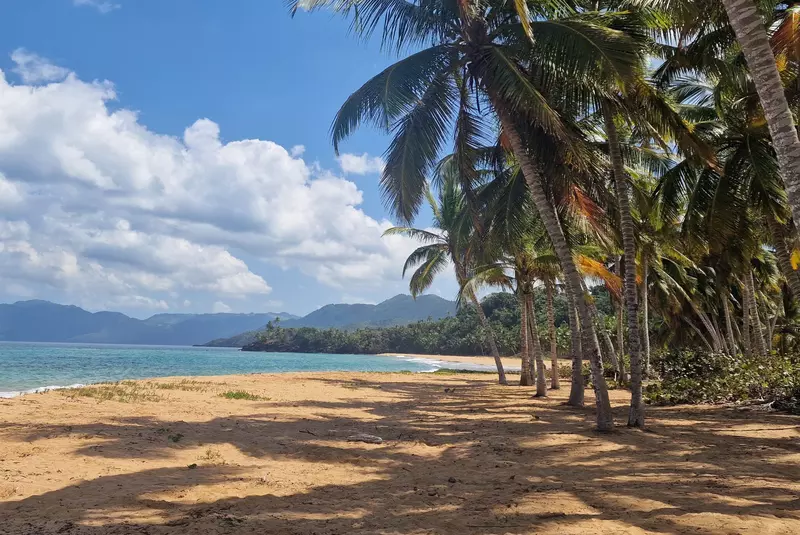 kanal-d-insula-de-1-milion-1