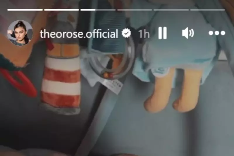 ce-a-recunoscut-theo-rose-despre-fiul-ei-dupa-ce-tot-mai-multe-persoane-au-observat-deja-asta-1