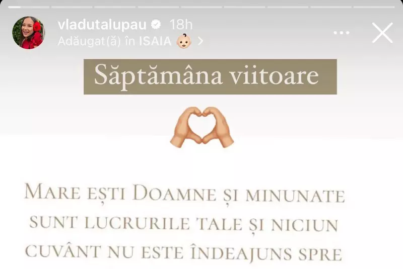 vladuta1
