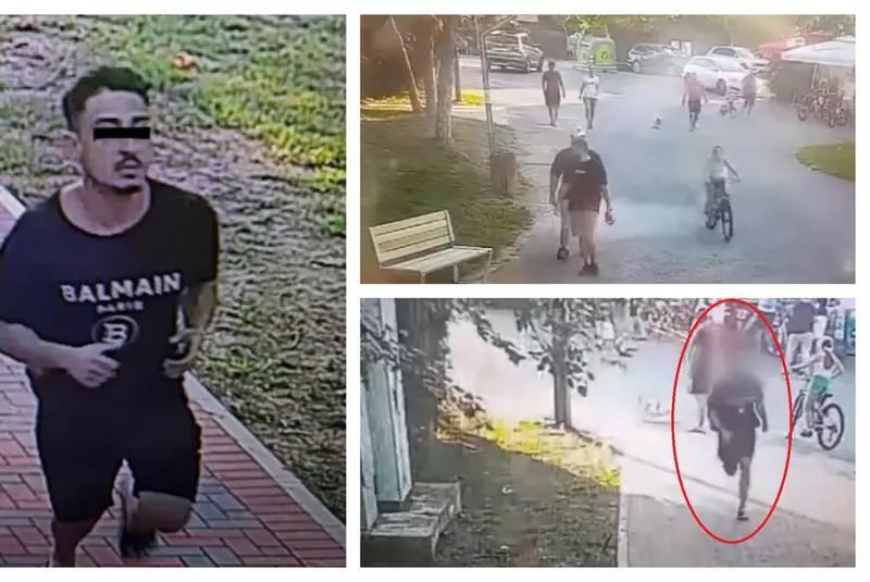 accident-parc-pantelimon-sofer