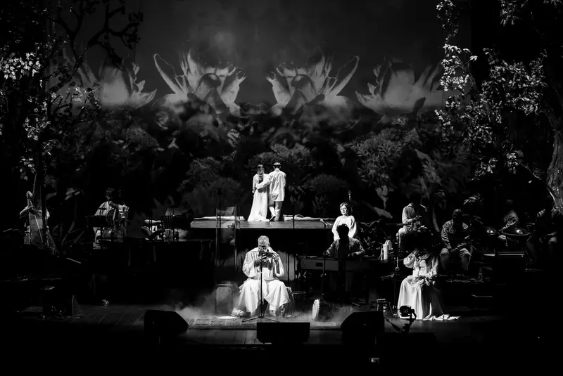 Damian Draghici – Meditatii Romanesti 5