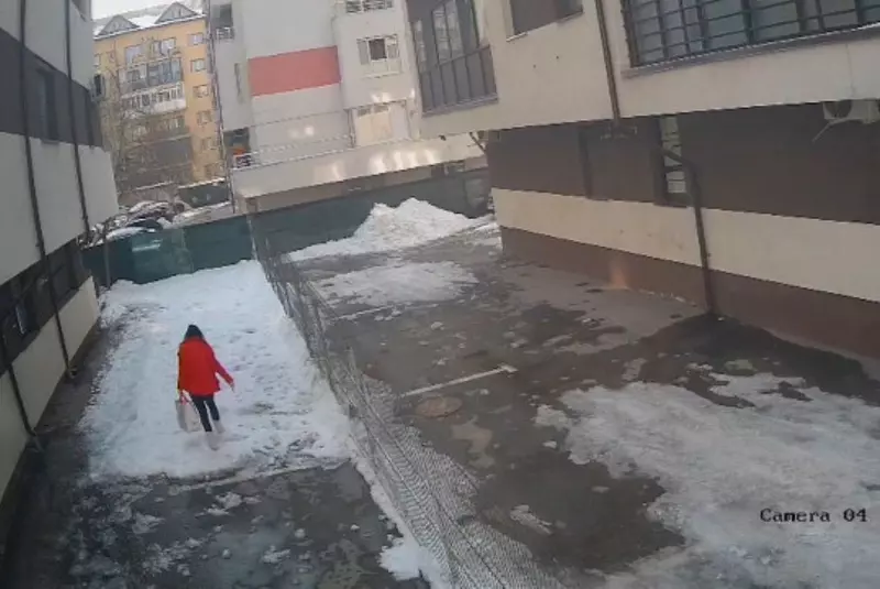67be1055ac3a5-femeie-ucisa-de-o-bucata-de-gheata-cazuta-de-pe-un-bloc–crop-1740512500