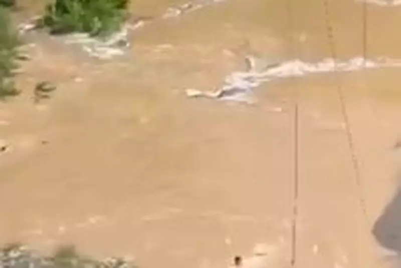 4a2062c3-97b0-43ee-850c-449d3ea02c30