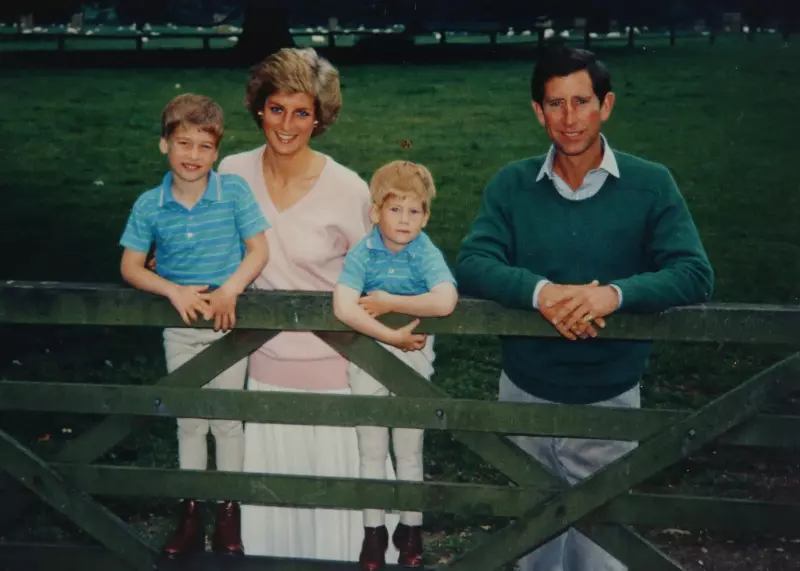 Diana, William, Harry si Charles