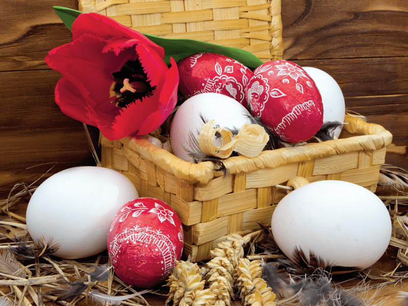 Cum sa gatesti ouale fierte