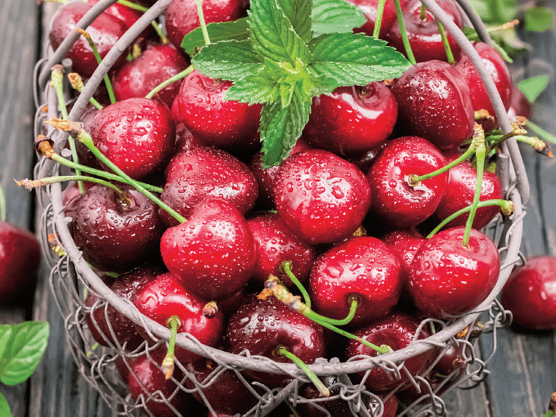 Cele mai bune soiuri de cirese romanesti