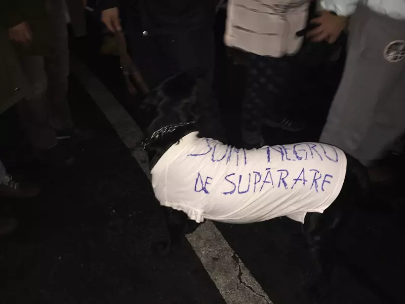 Caine la protestele din Romania