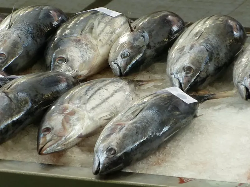 Cum recunosti pestele proaspat