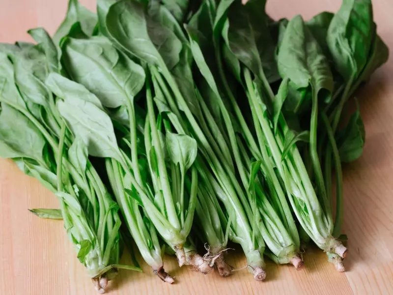 Spanacul, sursa bogata de fier si vitamine