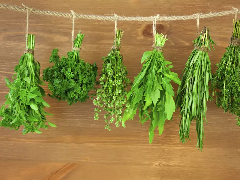 Ghidul verdeturilor in bucatarie