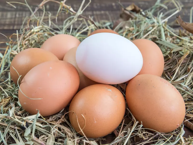 Diferenta dintre ouale albe si cele maronii