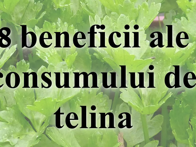 8 beneficii ale telinei