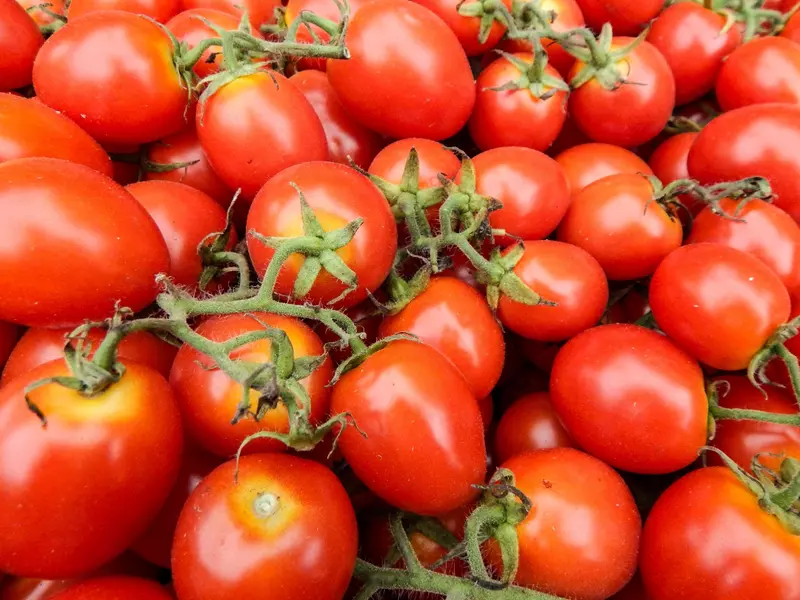 Beneficiile rosiilor pentru sanatate