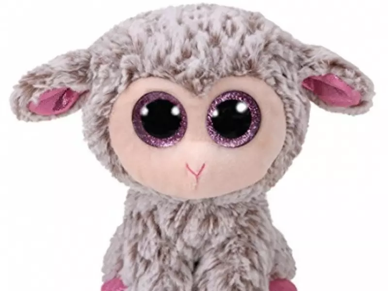 (P) Cum se aleg jucariile de la Nichiduta in functie de vasta copilului?