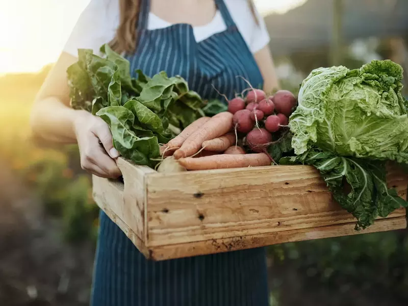 Articole de bricolaj de care avem nevoie în casă și grădină !