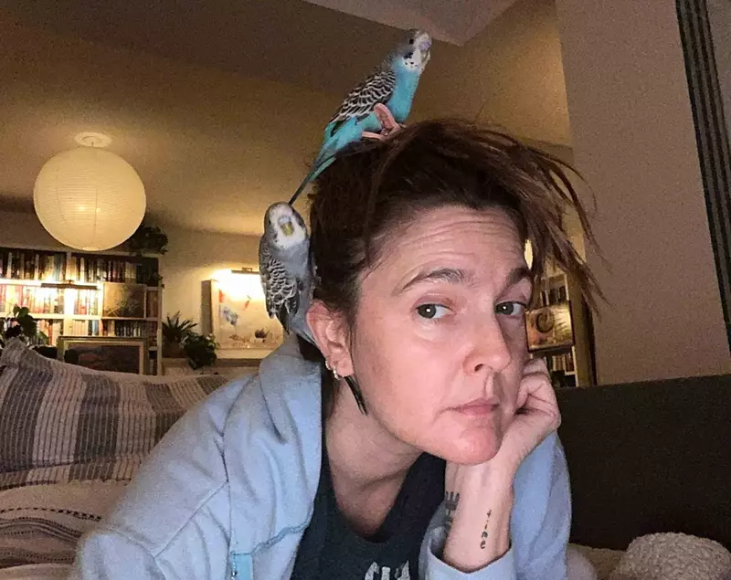 Capture d’écran des célébrités sur les réseaux sociaux