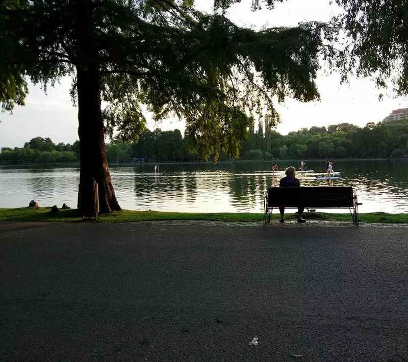 Parcul IOR 1