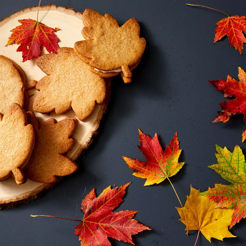 maple-cream-sandwich-cookies-MBAK903-north-america-0227-v2-d113210
