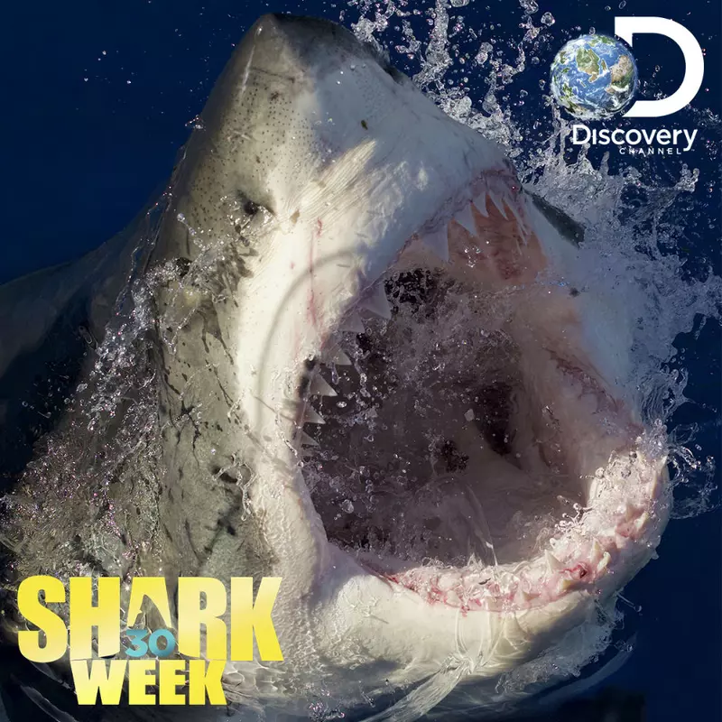 Shark Week_2018_23-29iulie (1)