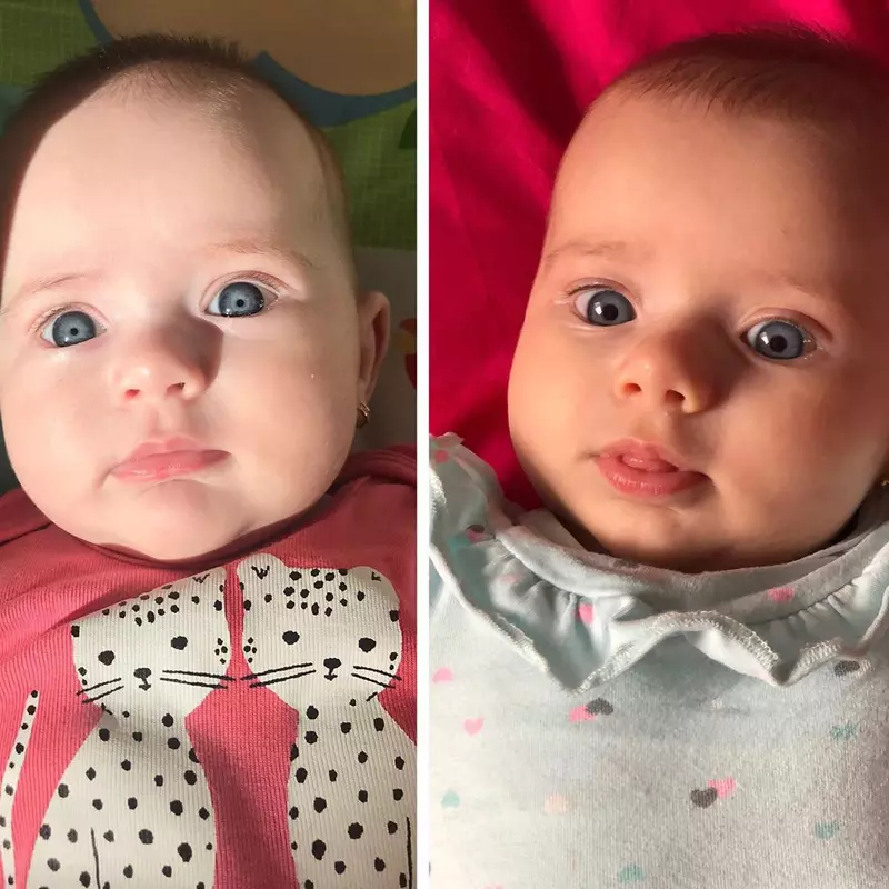 Fiicele Gabrielei Cristea, Victoria Margot și Iris Thea